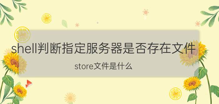 shell判断指定服务器是否存在文件 store文件是什么？